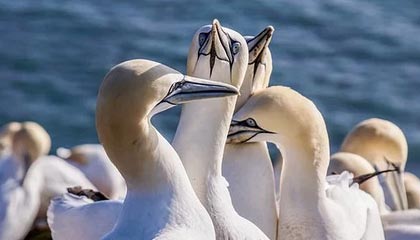 澳门银河|自行车赛事v2.6.2