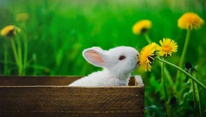 澳门银河|跑步赛事v5.2.1